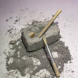 Fossil Dig Paleo Kit