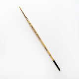 Watercolor Paint Brush by Emily Lex