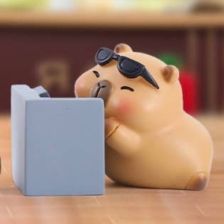 Capybara Island Blind Box