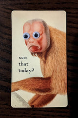 Silly Monkey Refrigerator Magnets! with 6mm Googly Eyes