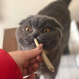 Catnibas® King Size Rollies