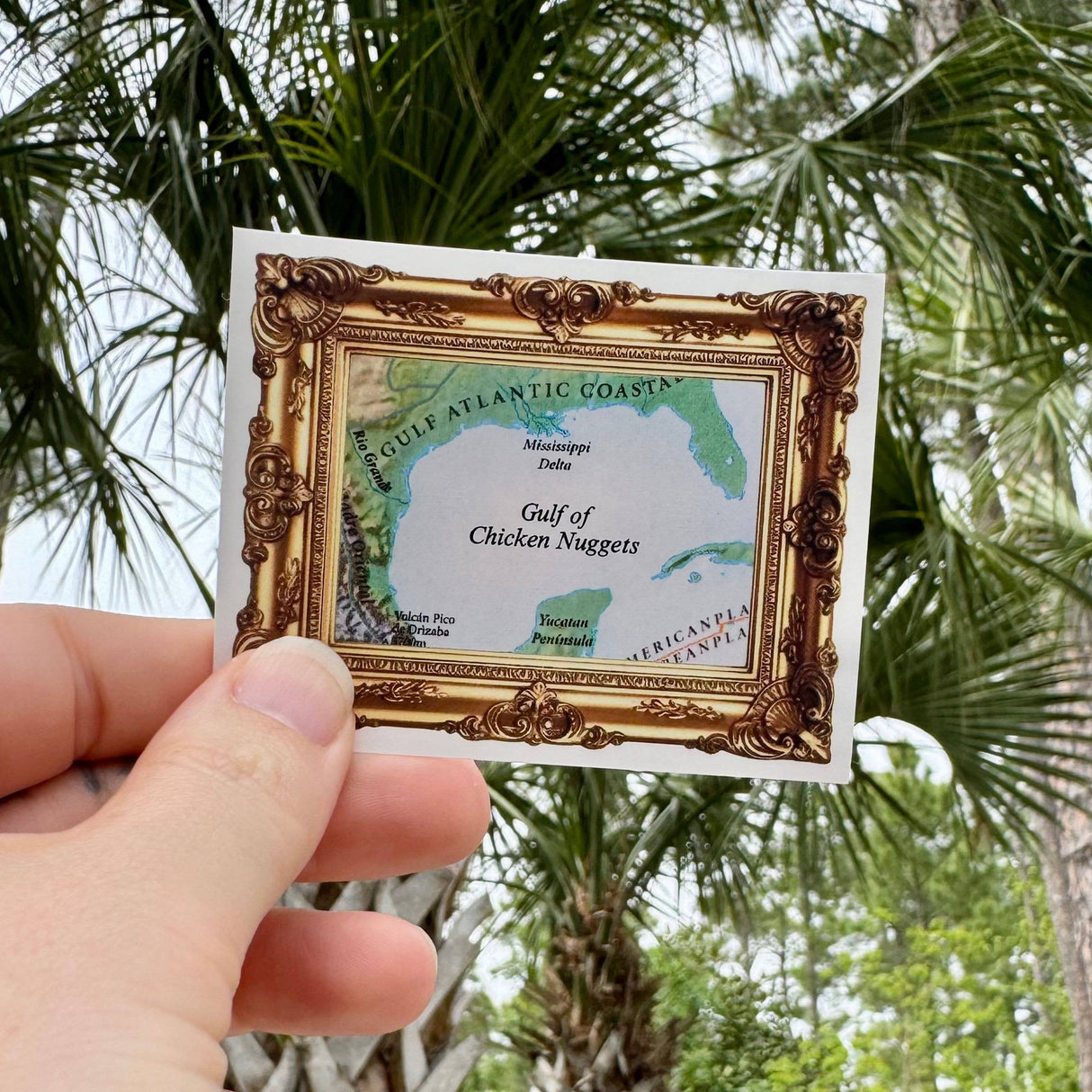 Gulf of Chicken Nuggets Sticker Gulf of Mexico