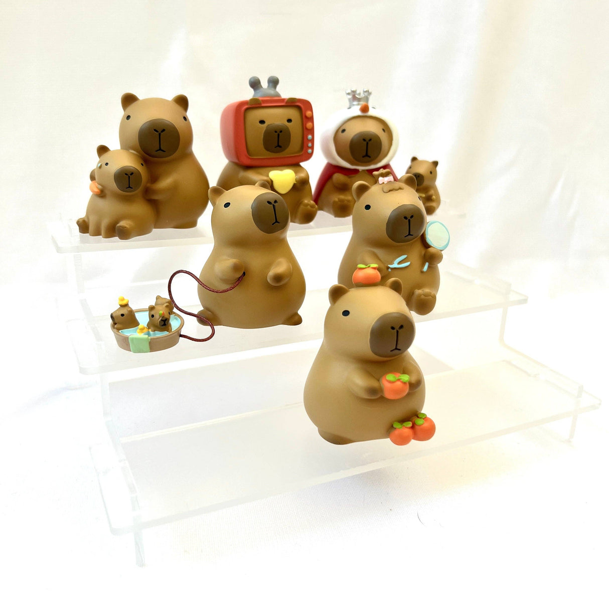 Capybara Blind Box