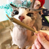Catnibas® King Size Rollies