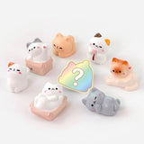 Cozy Cat Blind Box