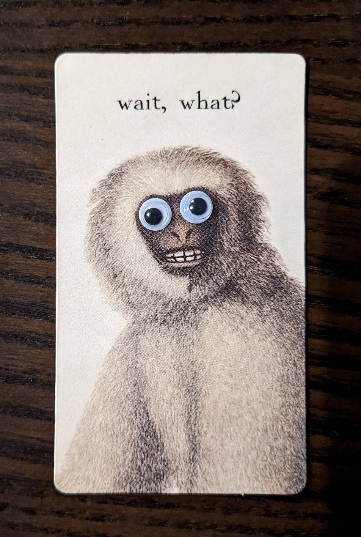 Silly Monkey Refrigerator Magnets! with 6mm Googly Eyes