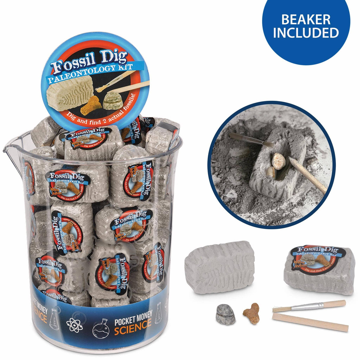 Fossil Dig Paleo Kit
