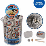 Fossil Dig Paleo Kit