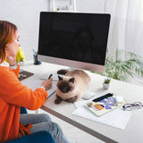 Super Useful Tray - Lee Cat