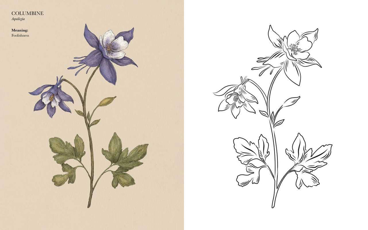 Floriography Coloring Book