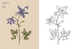 Floriography Coloring Book