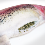 Get Smoked Rainbow Trout Refillable Catnip Cat Toy