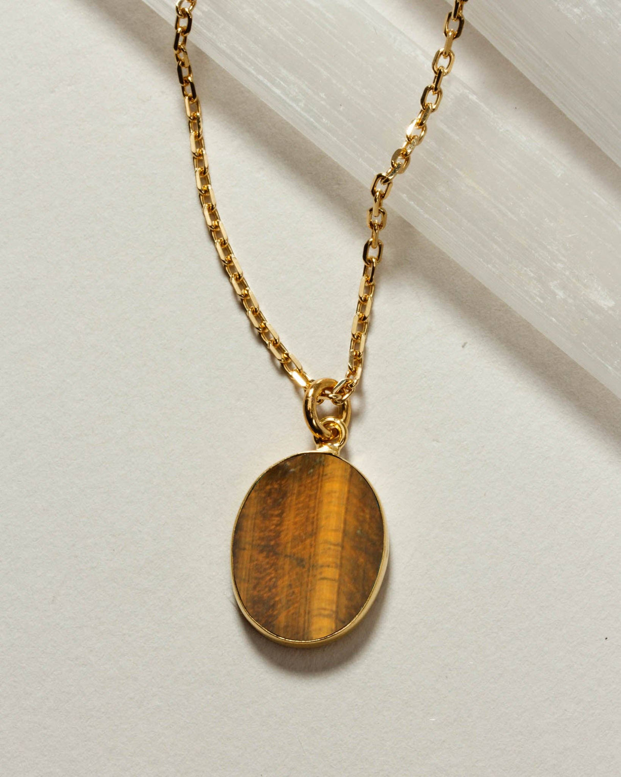 Shield of Strength Long Medallion Necklace - Tiger Eye