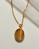 Shield of Strength Long Medallion Necklace - Tiger Eye