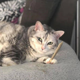 Catnibas® King Size Rollies