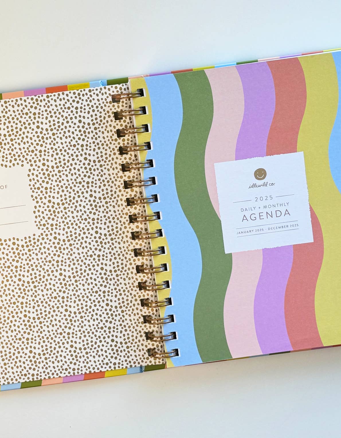 2025 Rainbow Waves Planner