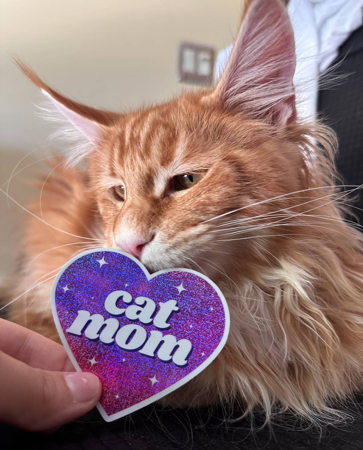 Cat Mom Glittery Heart Sticker