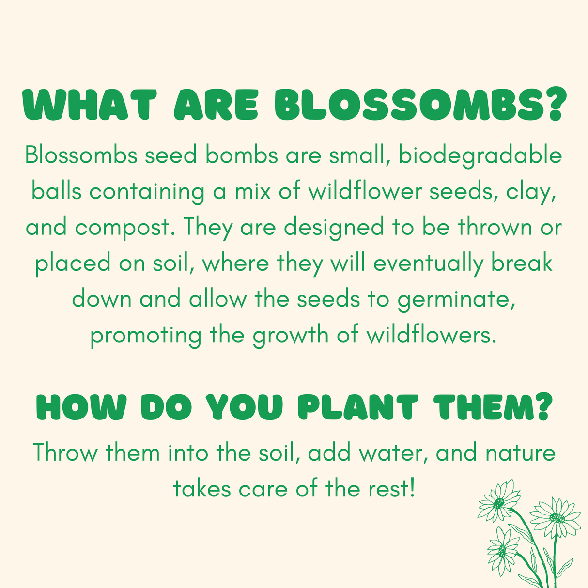 Flowers For You, 4 Seed Bomb Balls