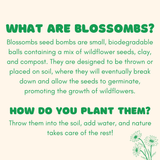Flowers For You, 4 Seed Bomb Balls