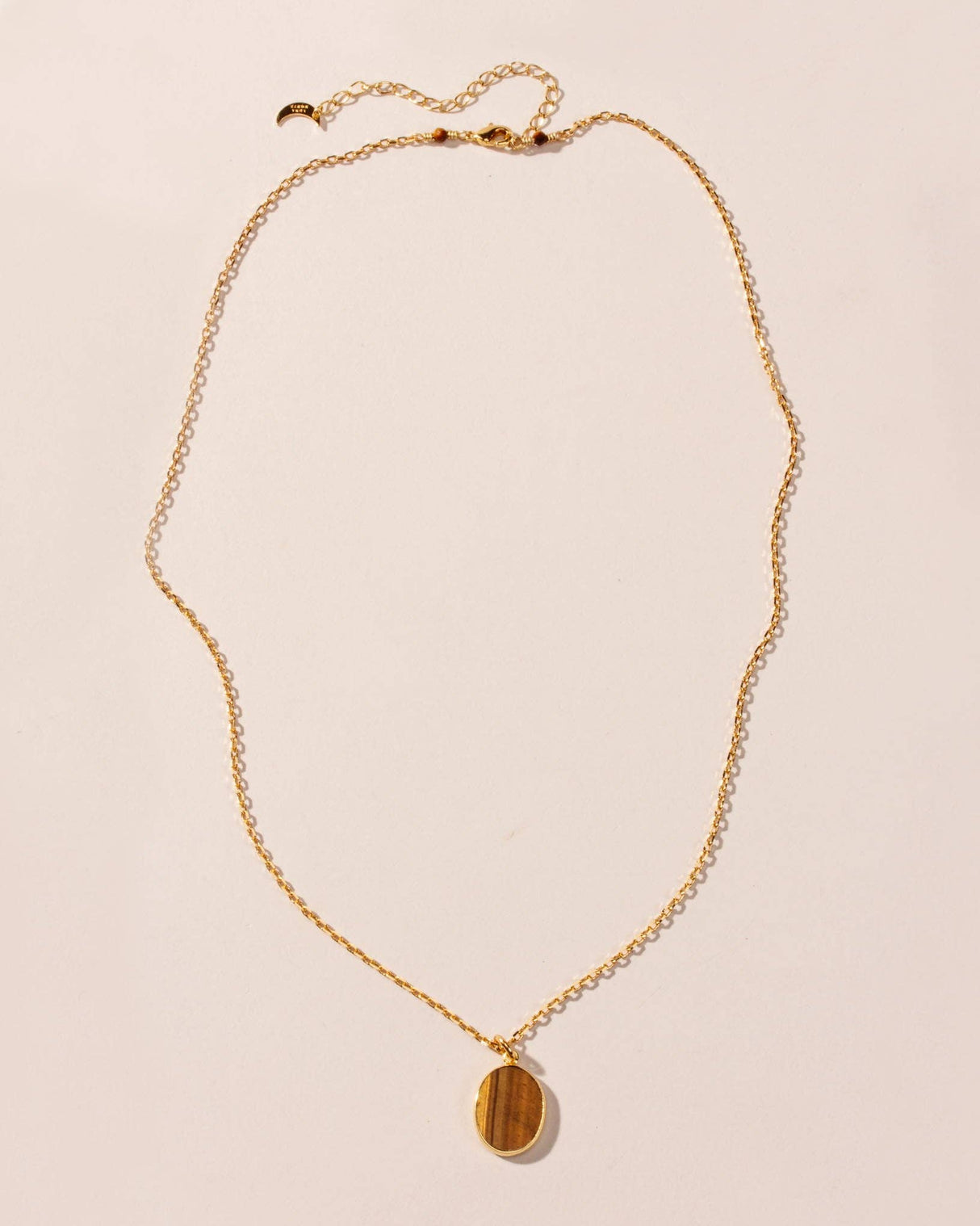 Shield of Strength Long Medallion Necklace - Tiger Eye