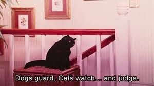 Salem Quote Black Cat Art Print