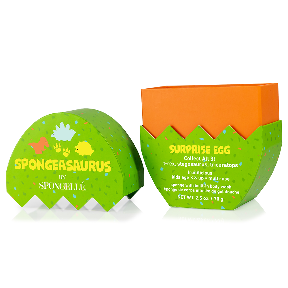 Stegosaurus Spongeasaurus