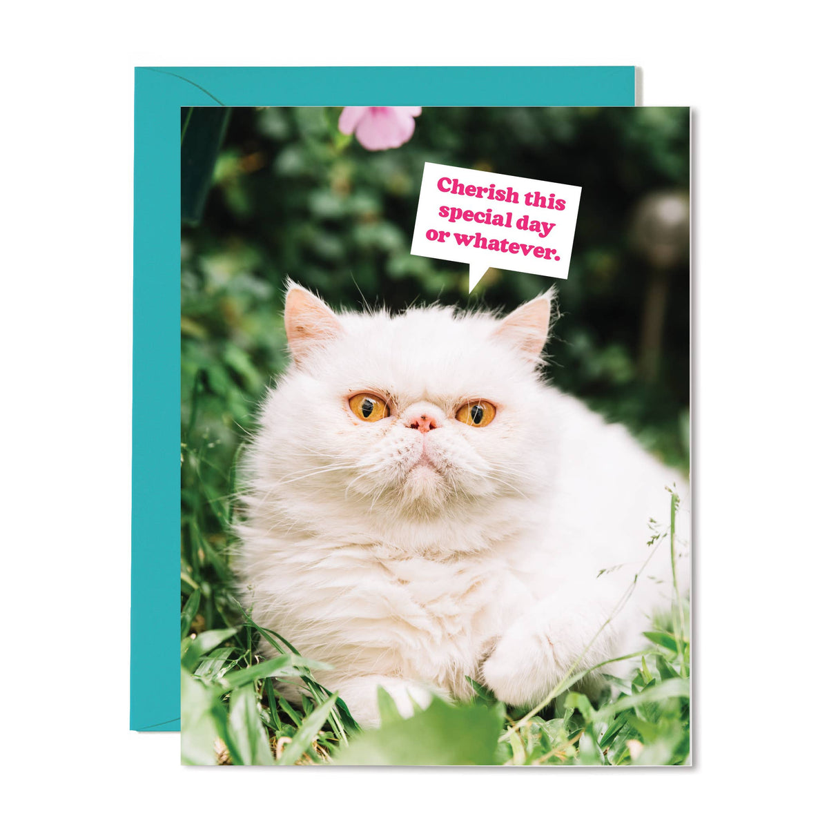 Cherish or Whatever Greeting Card