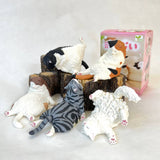 Sleeping Cats Blind Box