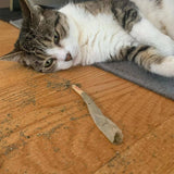Catnibas® King Size Rollies