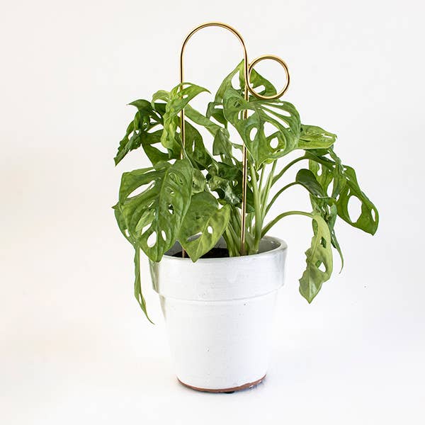 Gold Bump Mini Plant Stake