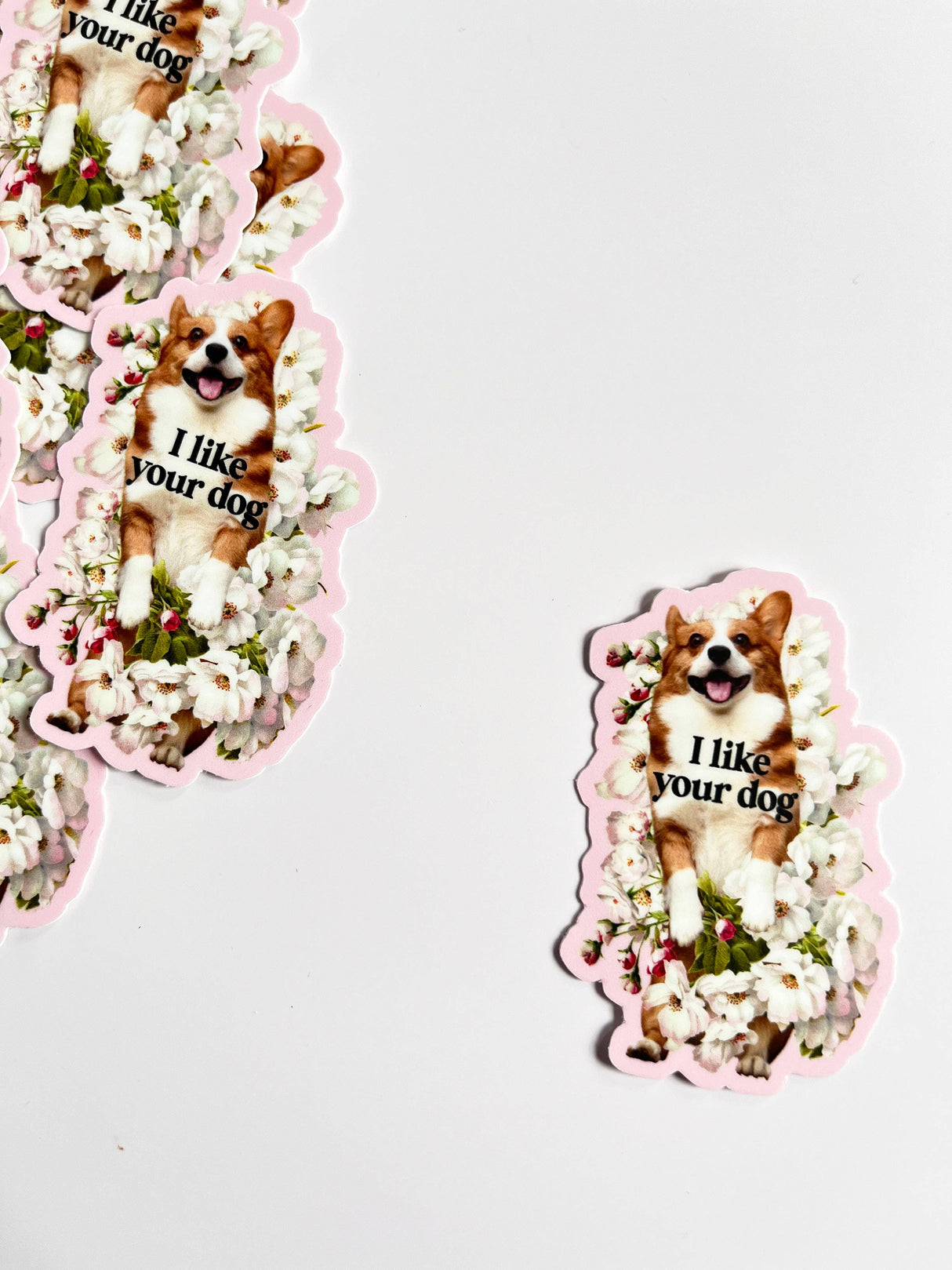 I Like Your Dog Cute Corgi Sticker
