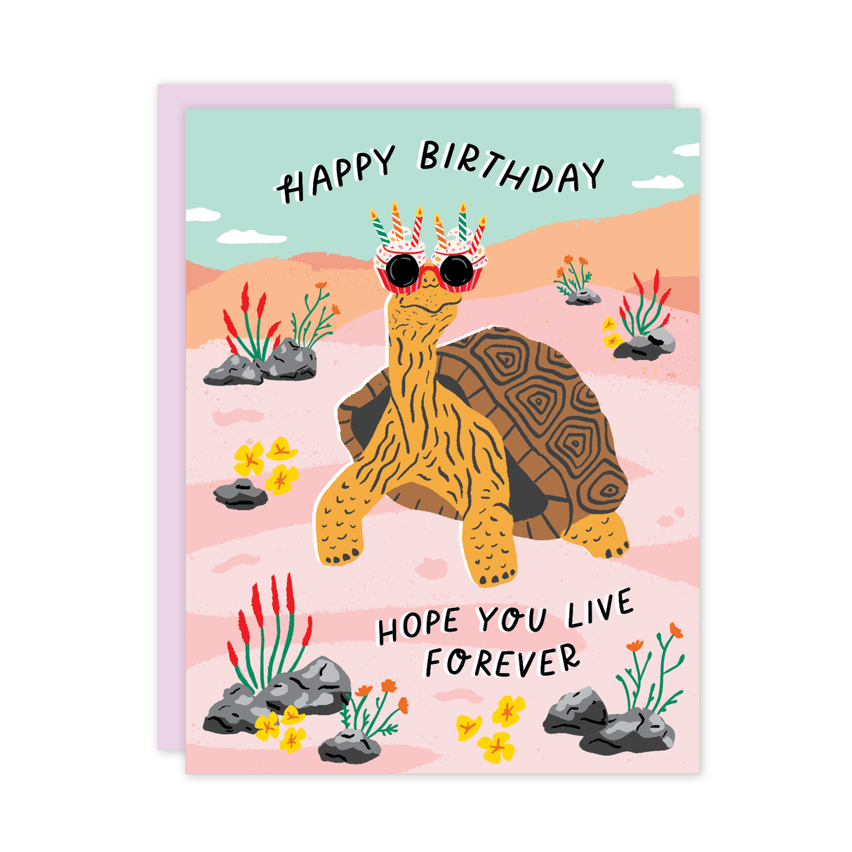 Birthday Tortoise Greeting Card
