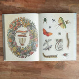 Cabinet of Curiosities