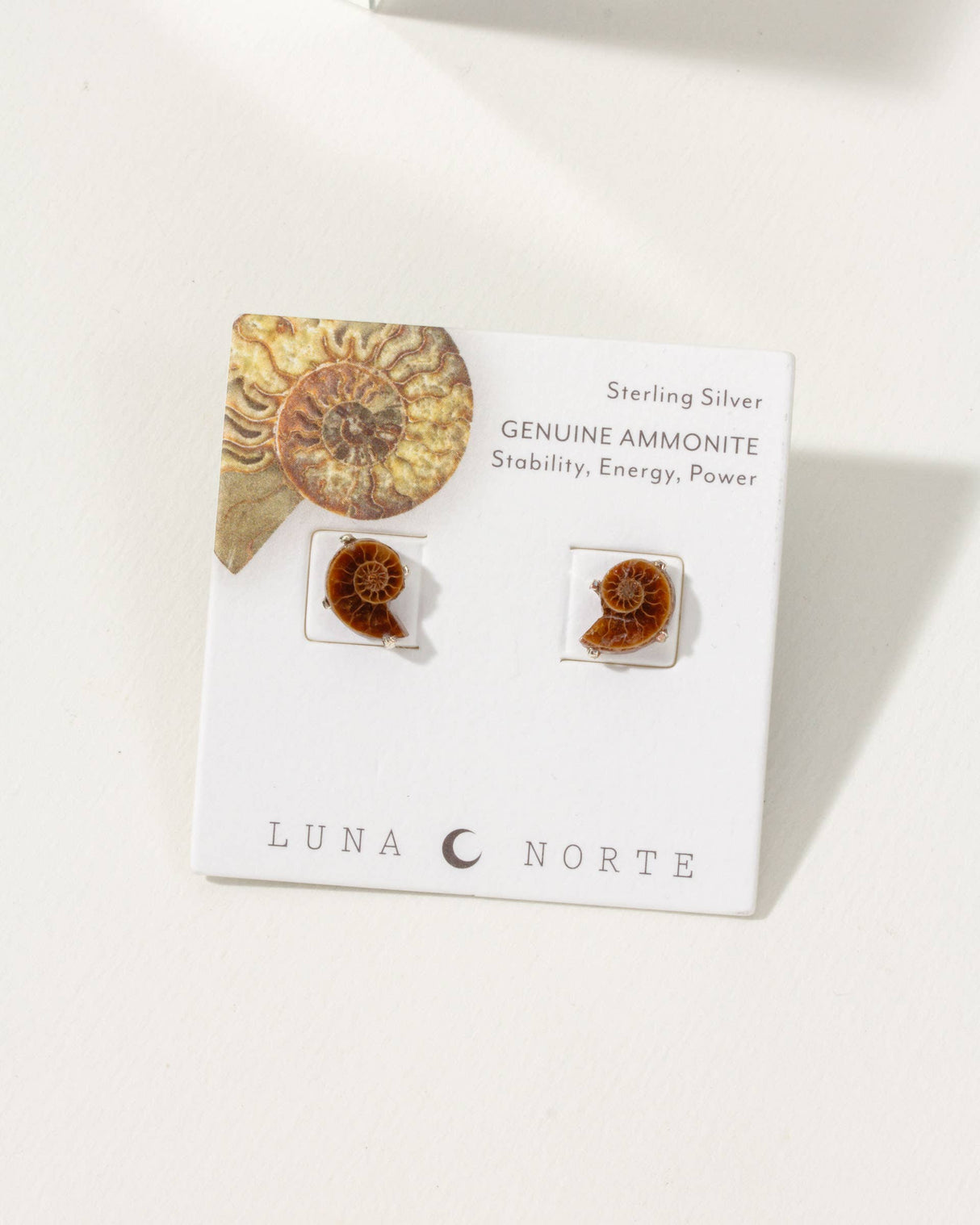 Ammonite Sterling Silver Post Earrings