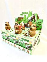 Capybara Blind Box