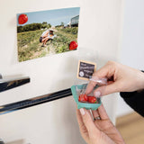 Colorful Strawberry Magnets Iconic Set of 4