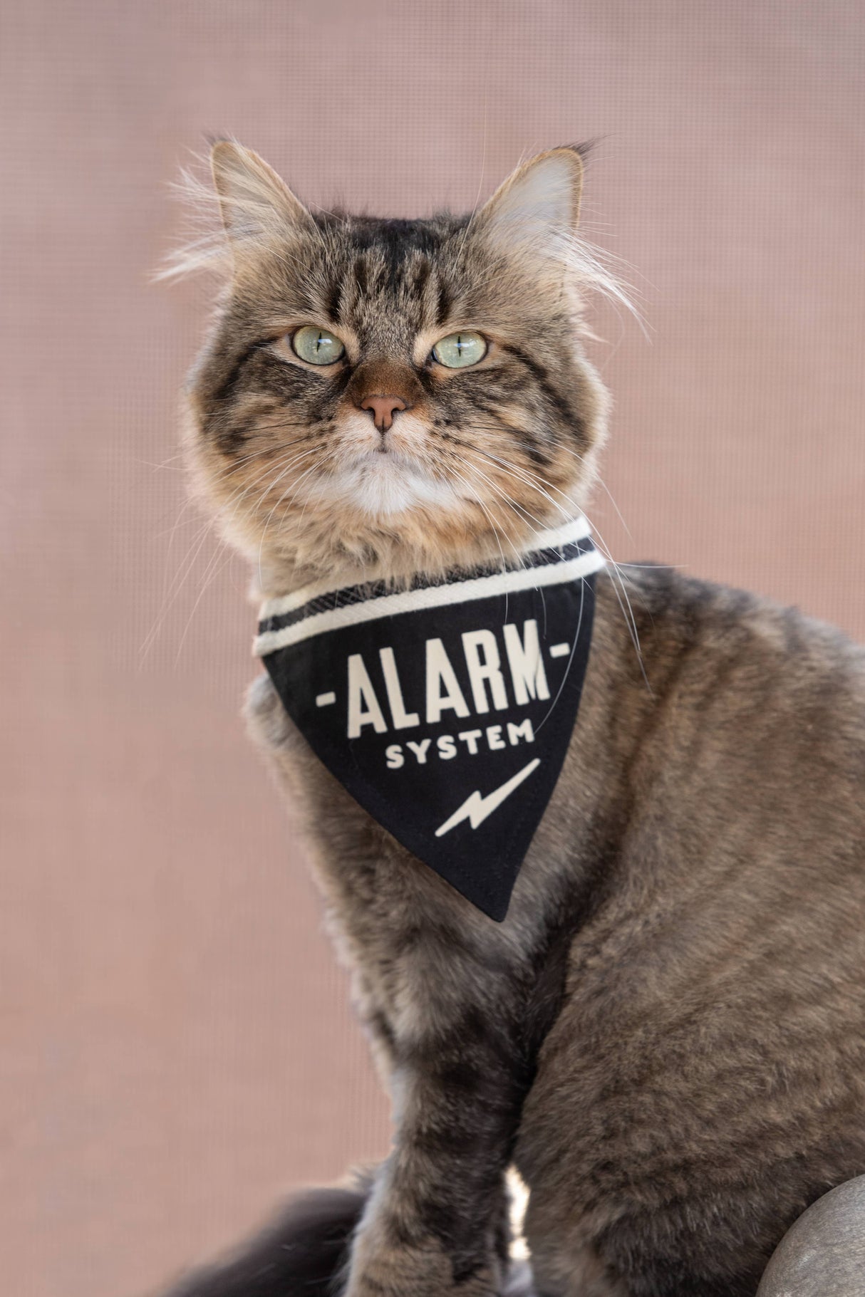 Alarm System Small Pet Bandana