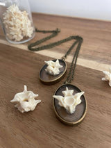 Single Ball Python Vertebrae Necklace