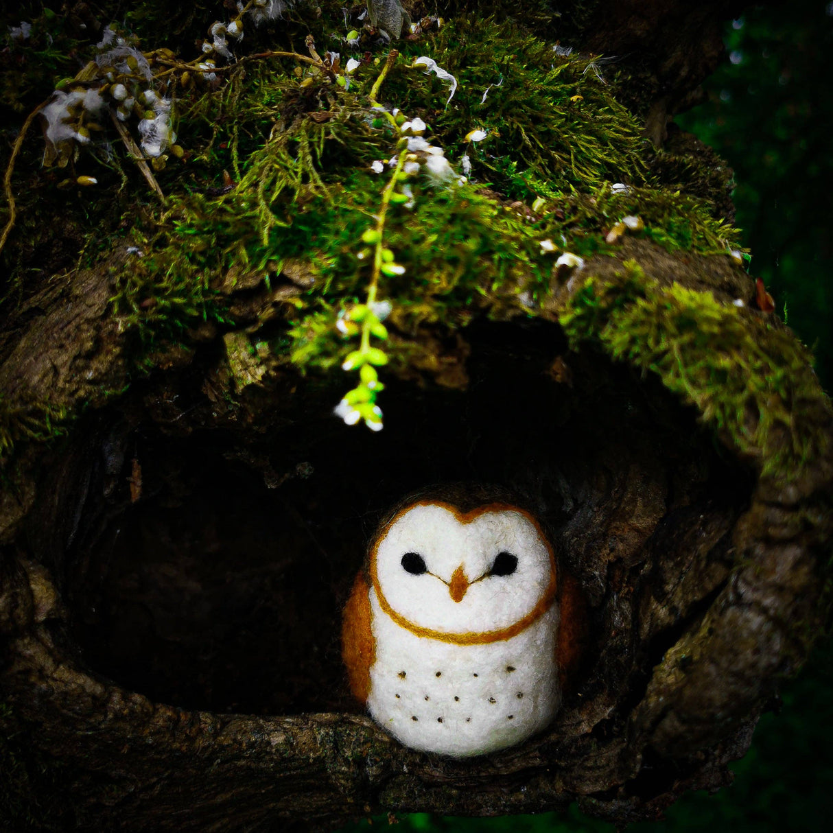 Barn Owl Needle Felting Kit