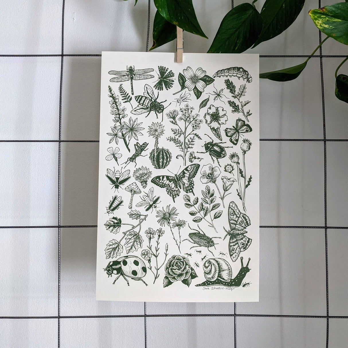 Bugs & Blooms Art Print