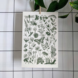 Bugs & Blooms Art Print