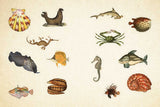 Cabinet of Curiosities