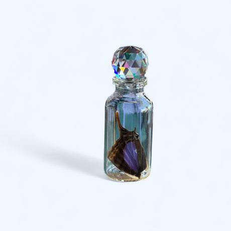 Ethically-Sourced Real Butterfly Wing in Glass Bottle