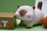Playful Cats Blind Box