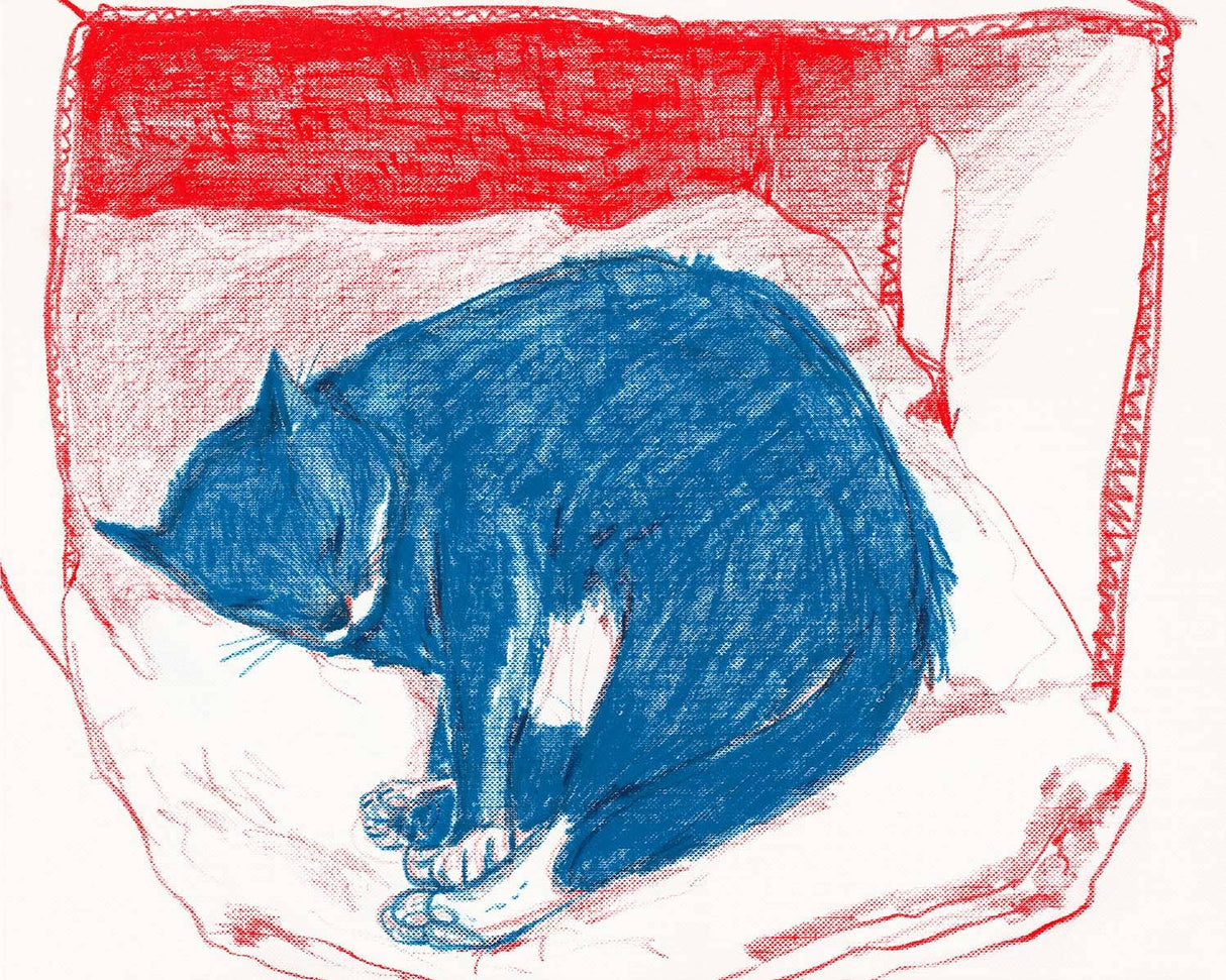 "Pepper in His Box" Print