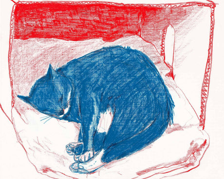 "Pepper in His Box" Print