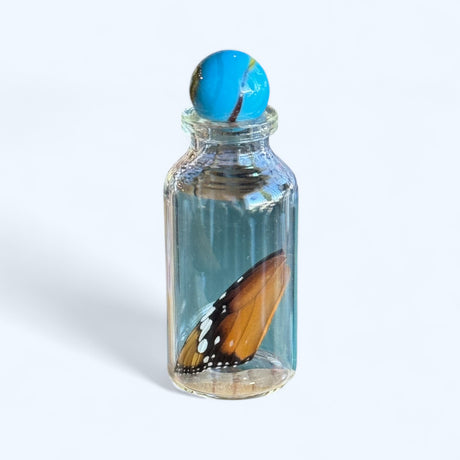 Ethically-Sourced Real Butterfly Wing in Glass Bottle