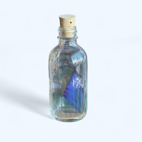 Ethically-Sourced Real Butterfly Wing in Glass Bottle