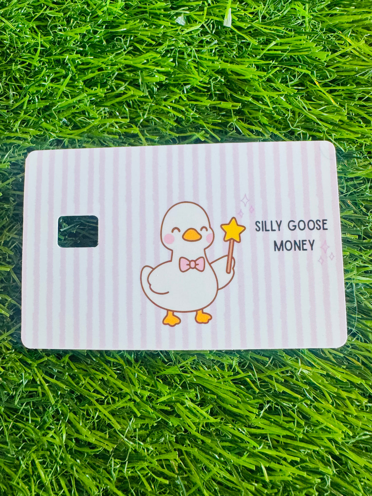 Silly Goose Money
