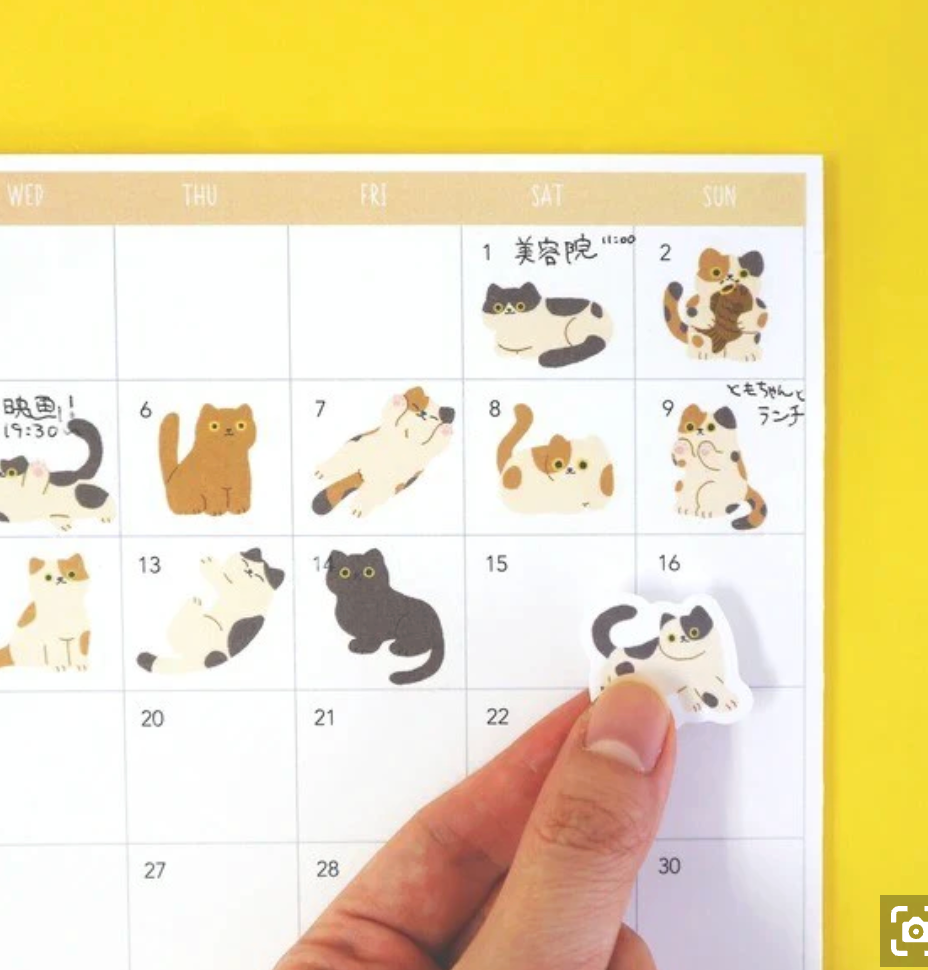 Illustrated PET Sticker Sheet by World Craft